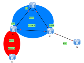 OSPF协议知识点归纳