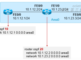 OSPF进程号的意义及多进程OSPF