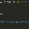 Golang 异常panic