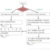 nginx进程管理