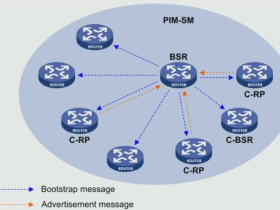 HCNP Routing&Switching之组播技术PIM-SM RP 