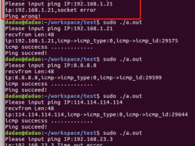 Linux  C++  实现一个简易版的ping （也就是ICMP协议）