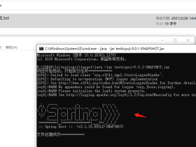 Spring Boot移除内嵌Tomcat，使用非web方式启动