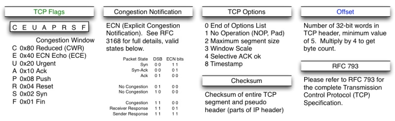 TCP协议（上）