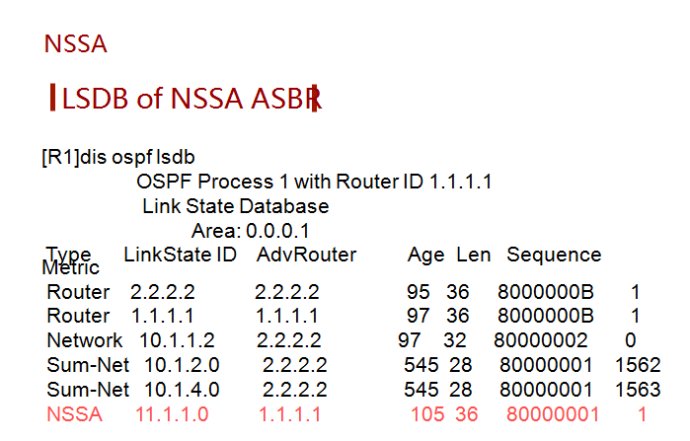 OSPF特殊区域