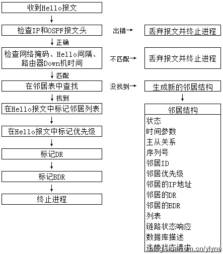 OSPF理论
