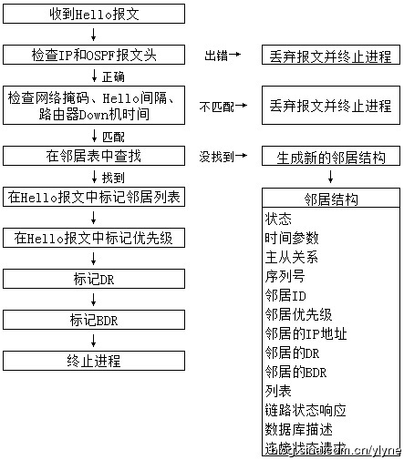 OSPF理论