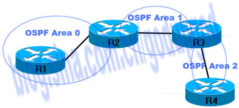 OSPF跨区域实验