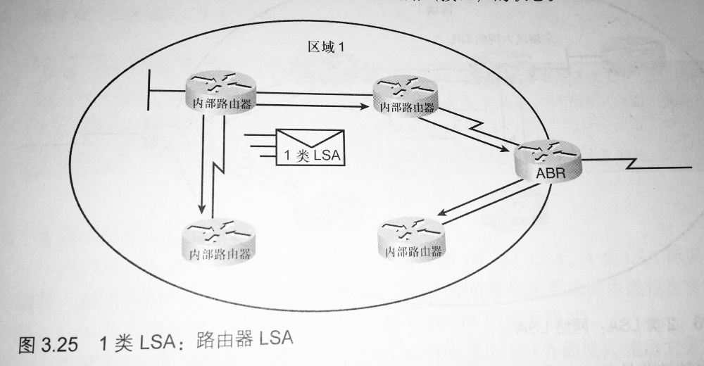 1 类 LSA：路由器 LSA